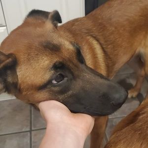 Meet your Posher, Riley